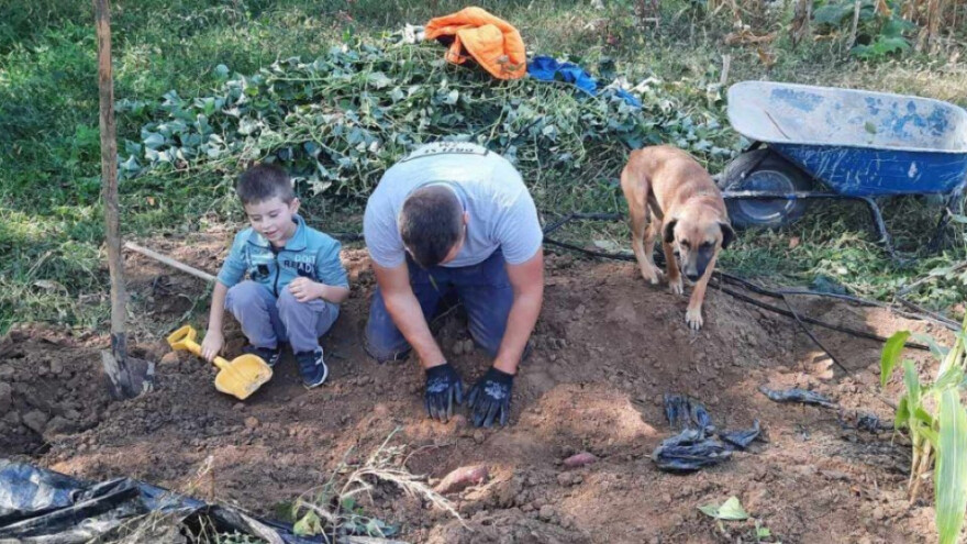 Posle kupovine kuće na selu, odmah krenuli sa organskom proizvodnjom