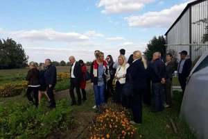 Projekti za veći razvoj organske proizvodnje