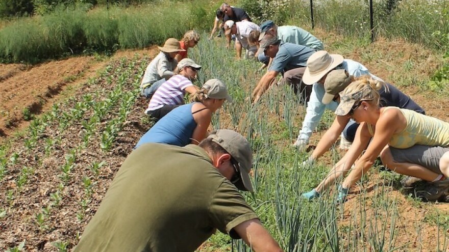 Započele prijave za natječaj obnove zemljišta!
