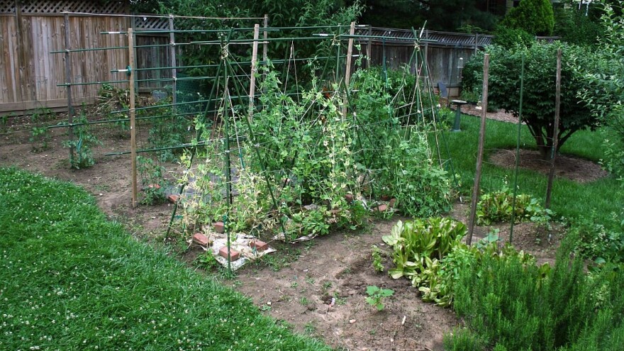 Kako se rešiti korova u organskoj proizvodnji?