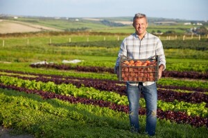Danska postaje 100 posto organska zemlja