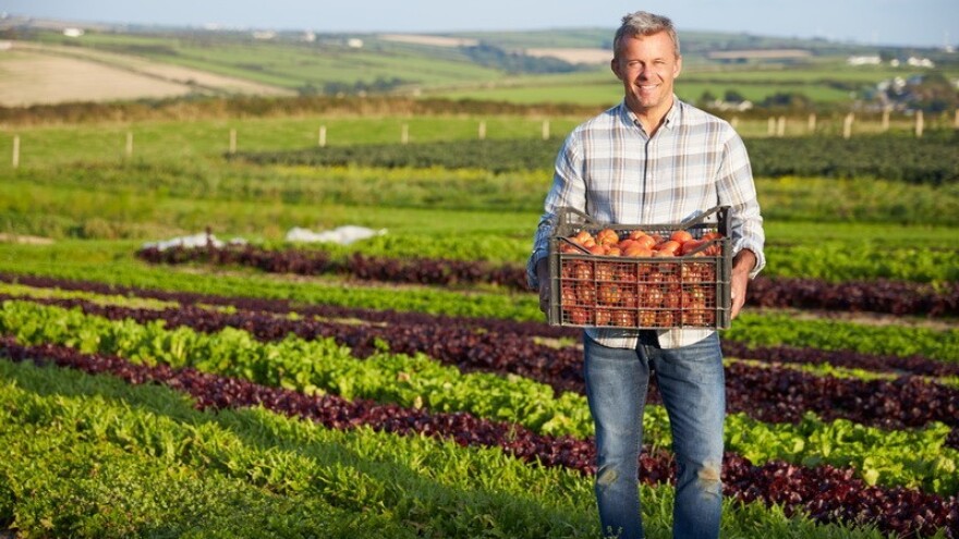 Danska postaje 100 posto organska zemlja