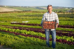 Danska postaje 100 posto organska zemlja