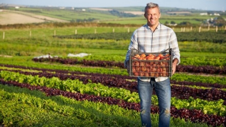 Danska postaje 100 posto organska zemlja