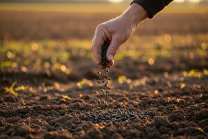 Organska gnojiva s najvećim udjelom hraniva!