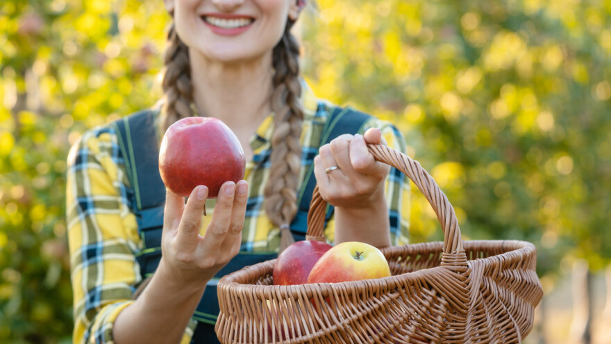 Kokurs APV za organske proizvođače