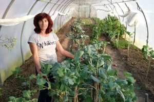 Zašto je u Srbiji organska proizvodnja slabo zastupljena, iako može da donese dobar profit ?
