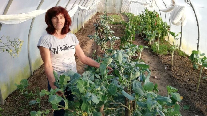 Zašto je u Srbiji organska proizvodnja slabo zastupljena, iako može da donese dobar profit ?