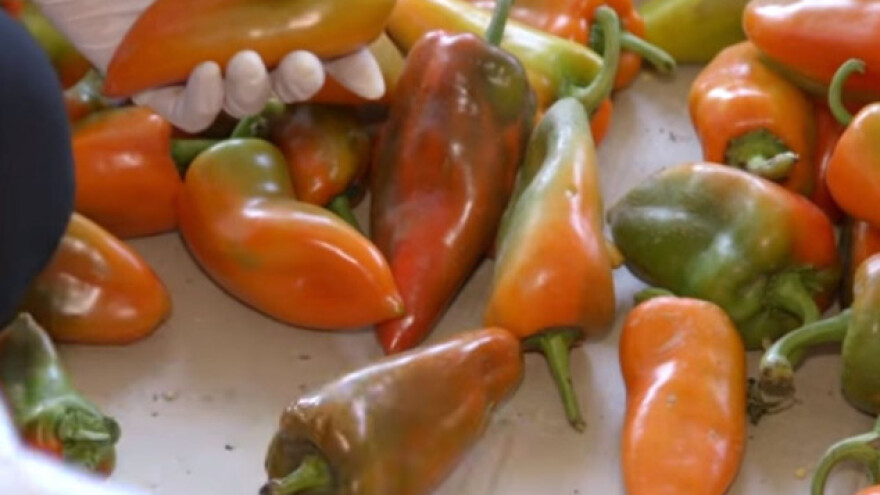 Proizvodnja organskog ajvara