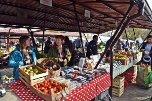 Organska ulica u Novom Sadu: Dobro za prirodu, dobro za nas