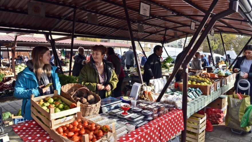 Organska ulica u Novom Sadu: Dobro za prirodu, dobro za nas