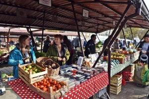 Konkurs APV za organske proizvođače