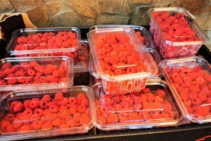 Lošija svjetska proizvodnja maline, prilika za našu koju treba iskoristiti