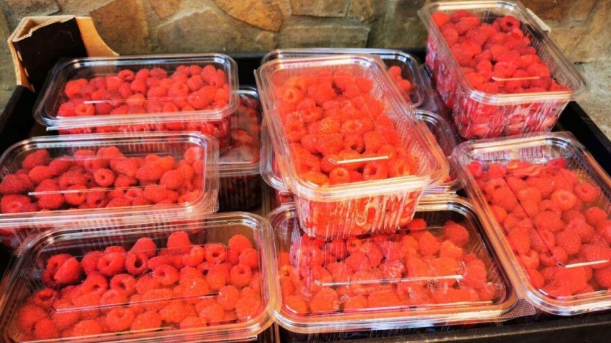 Lošija svjetska proizvodnja maline, prilika za našu koju treba iskoristiti