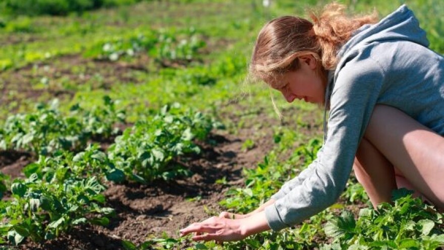 Dokazano - moguća kontrola korova bez herbicida!