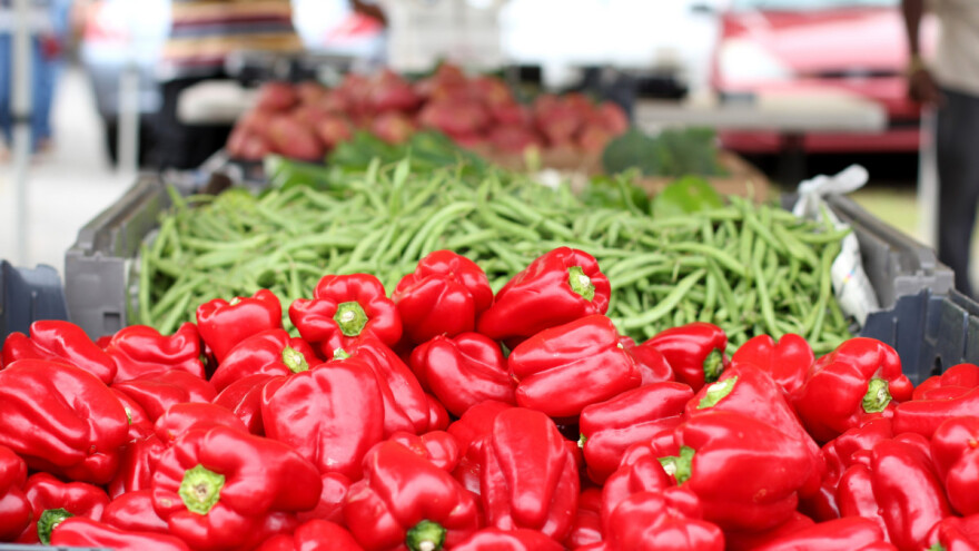 Milion eura za organsku poljoprivredu u BiH?