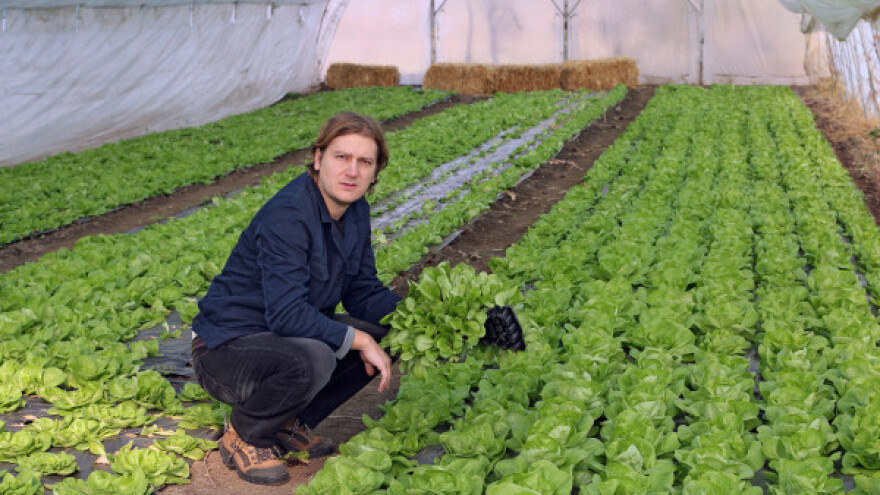 Kako organsku proizvodnju učiniti konkurentnom?