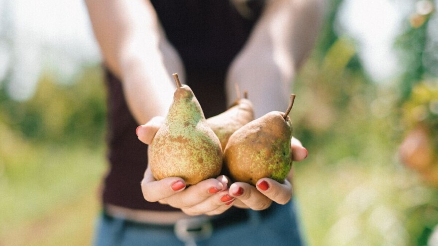 Vojvodina daje novac za sertifikaciju proizvoda iz organske proizvodnje