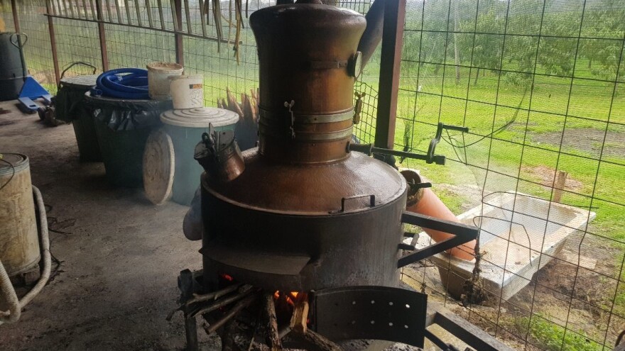 Uskoro domaća Viljamovka sa oznakom "organska" stiže u Njemačku