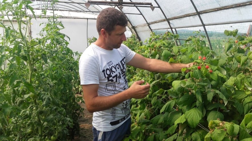 Subvencije: Proizvođači organskog bilja sada mogu dobiti do 520.000 dinara