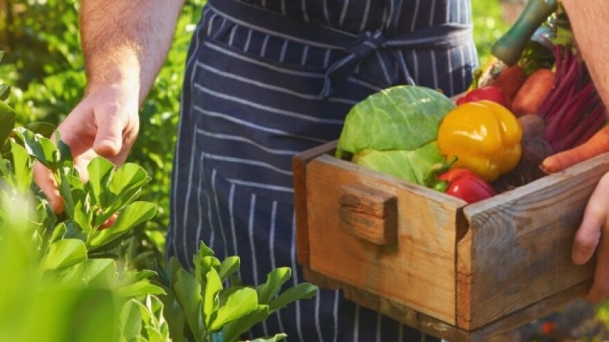 Organskom proizvodnjom do uspeha na tržištu
