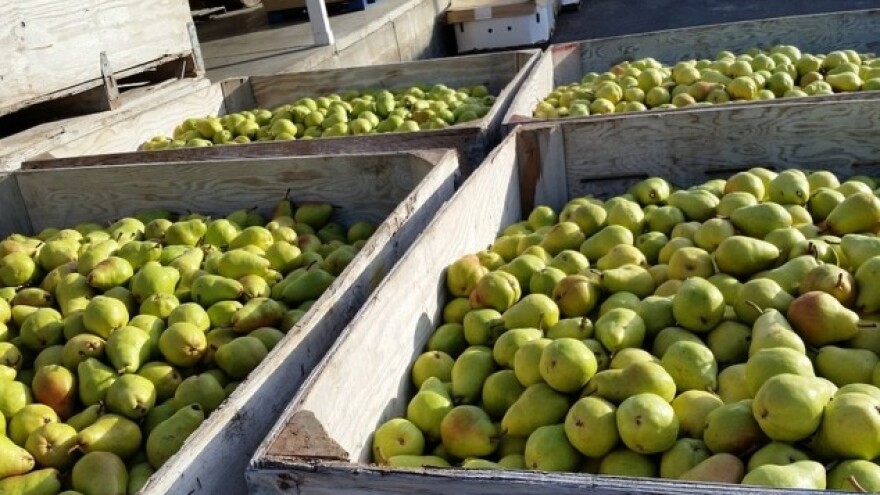 Organska proizvodnja - veliki profit za male proizvođače