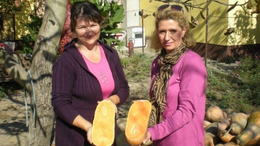 Proizvodi se starinski, trguje elektronski!