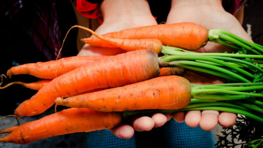 Odobrena nova pravila organske proizvodnje