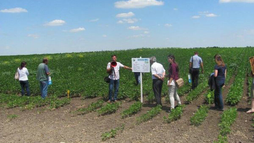 Selenča - mesto za start na organskom tržištu