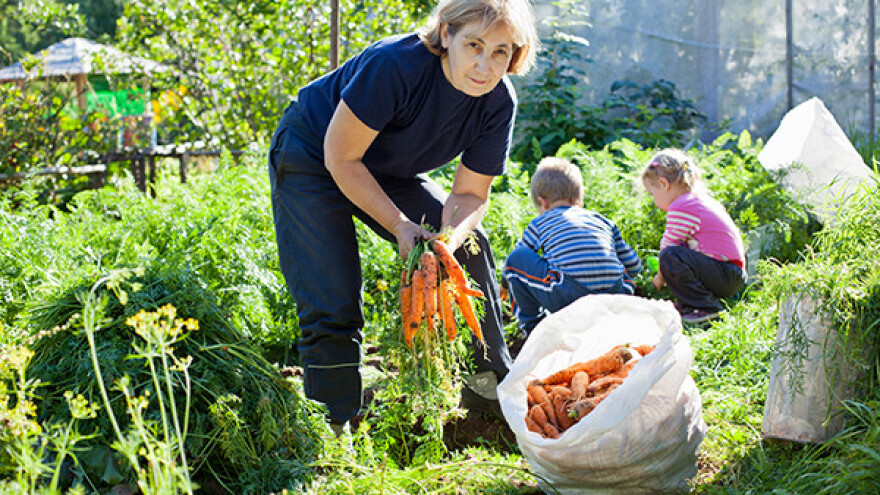 Veliki potencijali organske proizvodnje