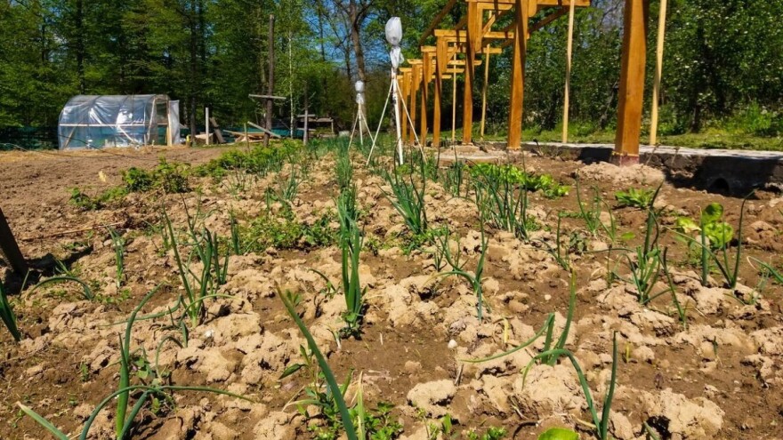 Do kraja maja umereno toplo i vlažno vreme