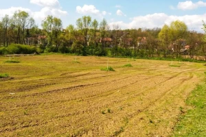 Srbija svake godine ostane bez 25.000 hektara oranica