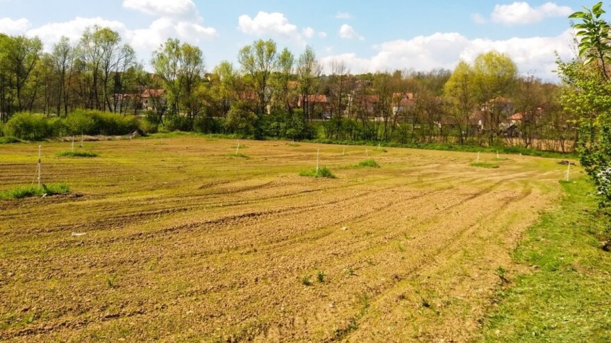 Srbija svake godine ostane bez 25.000 hektara oranica
