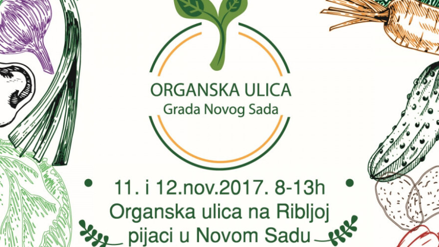 Organska ulica grada Novog Sada