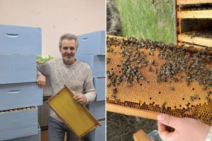 Organski med sa Stare planine - ima li pčelar Negovan računicu?