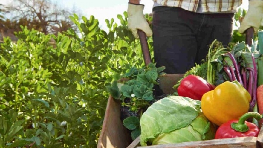 Konkurs od 1.5 miliona dinara za eko proizvođače