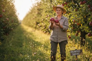 Organski voćnjak - ostvarena ljubav iz detinjstva