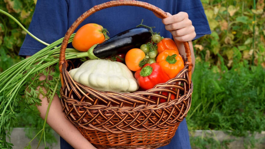 Razvoj organskih proizvoda i plasman na međunarodno tržište - konferencija u Sarajevu
