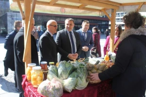 Organska proizvodnja i drvna industrija aduti BiH