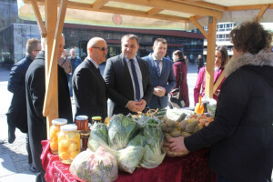 Organska proizvodnja i drvna industrija aduti BiH