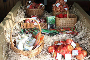 Brojni izlagači na Organic Sarajevu