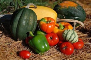 Organski uzgojena hrana ništa zdravija od uobičajene