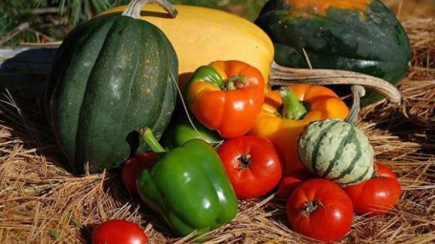 Organski uzgojena hrana ništa zdravija od uobičajene