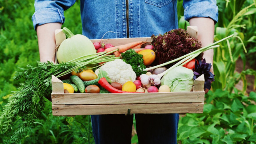 Proizvodnjom organske hrane do 8.000 radnih mjesta