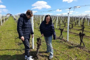 Voćnjaci i vinogradi iznad Oriovca impresivan su prizor, a proizvođači primjer odlične suradnje