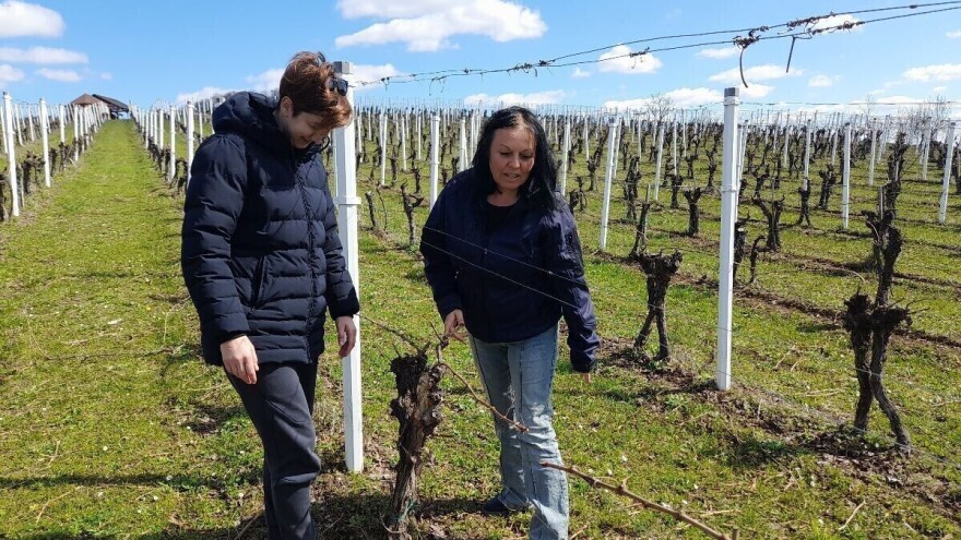 Voćnjaci i vinogradi iznad Oriovca impresivan su prizor, a proizvođači primjer odlične suradnje