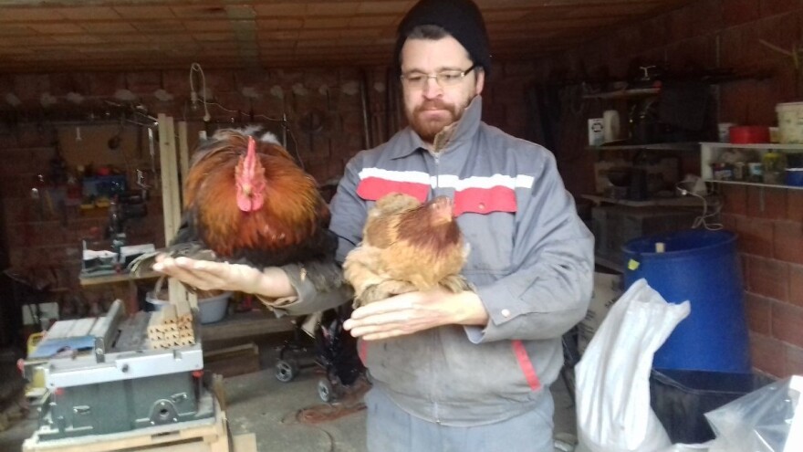 Ukrasna perad donosi zadovoljstvo, a kokice vas dodatno počaste i po kojim kvalitetnim jajem