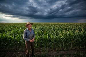 Osiguran svaki deseti hektar