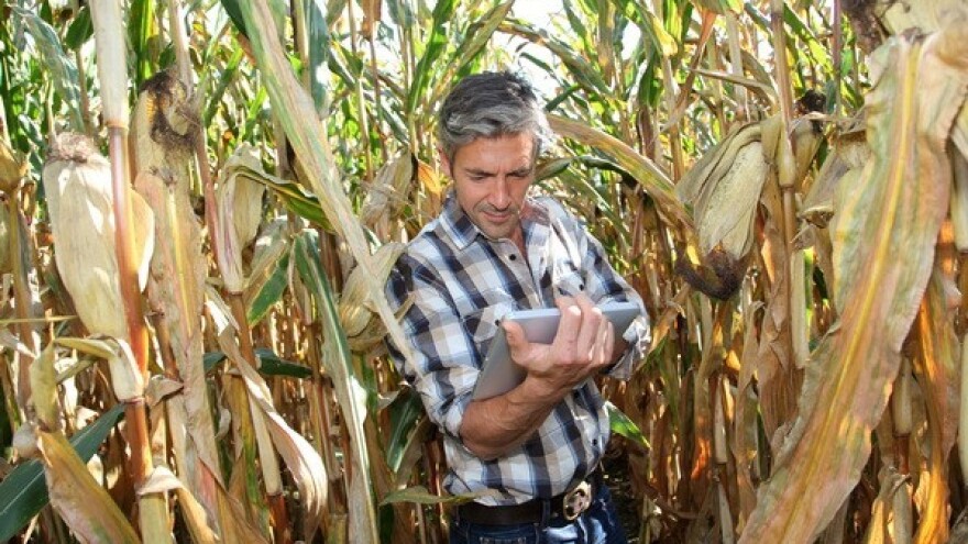 Lokalno subvencionirano osiguranje usjeva?