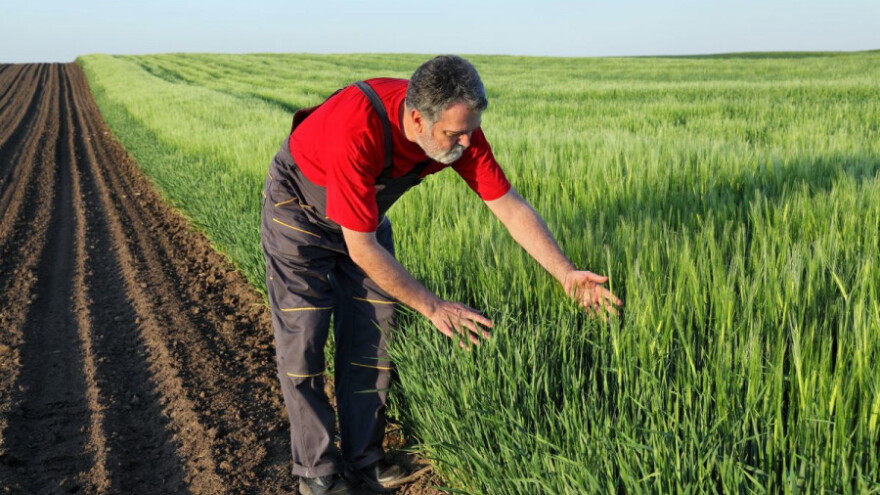 Nadati se najboljem ili se ipak osigurati?